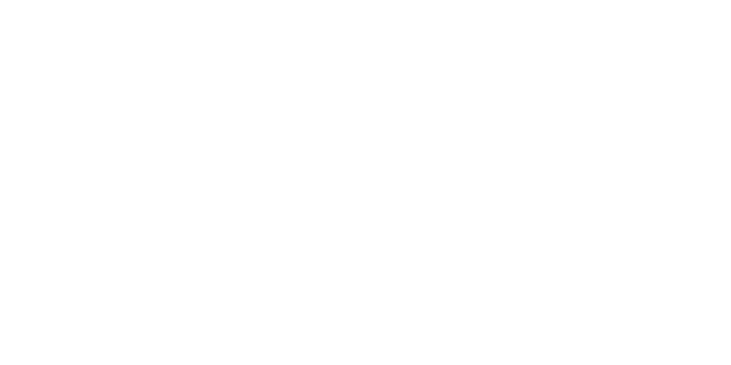 Didean Logo